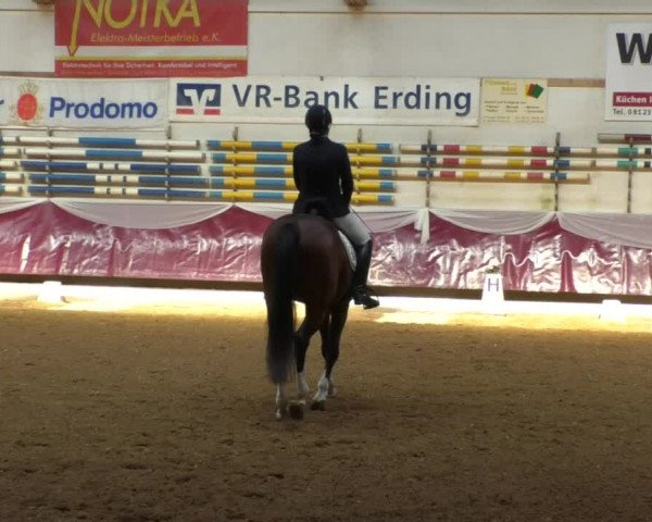 Reitturnier Eicherloh RH Laurent/Obb. 2019