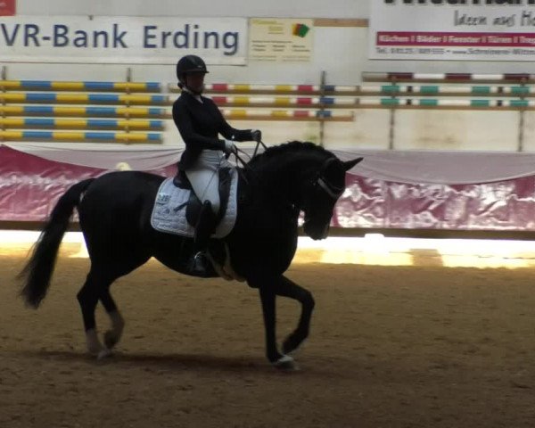 Reitturnier Eicherloh RH Laurent/Obb. 2019