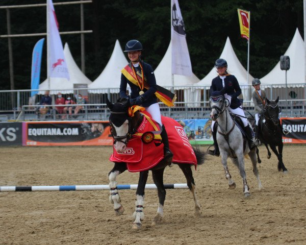 jumper Vin-Lee G (German Riding Pony, 2016, from Vedet van de Vondelhoeve)