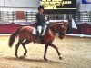 broodmare La Rubina 2 (Bavarian, 2000, from Rubinstein I)