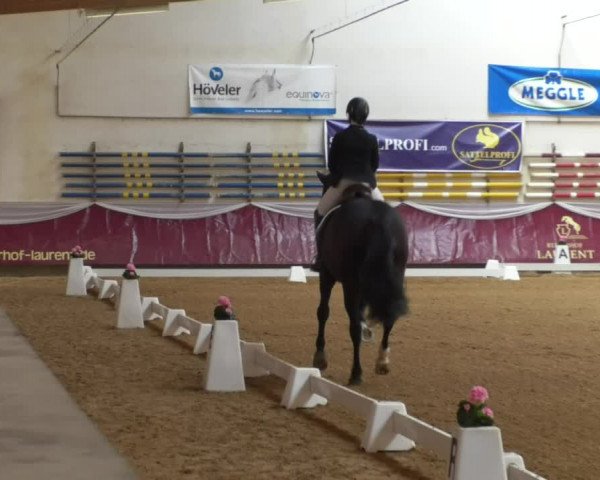 Reitturnier Eicherloh RH Laurent/Obb. 2019