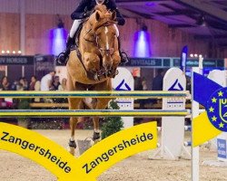 stallion Kaiser van het Lambroeck (Belgian Warmblood, 2010, from Nabab de Rêve)