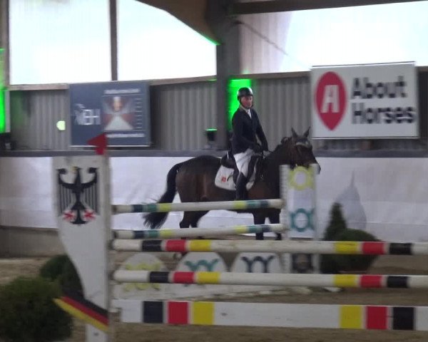 Reitturnier Lindlar-Süttenbach 2019