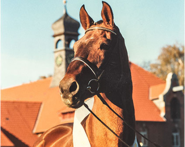 horse Don Juan (Hanoverian, 1975, from Don Carlos)