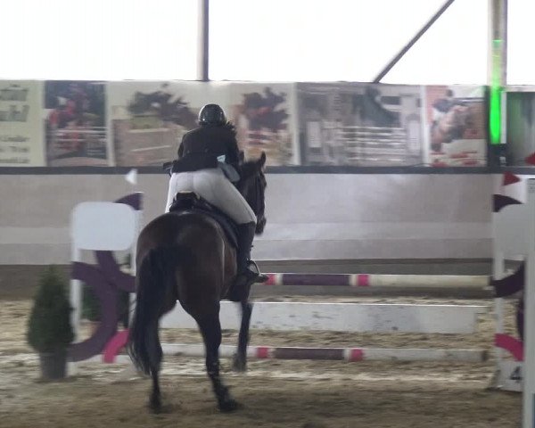 Reitturnier Lindlar-Süttenbach 2019