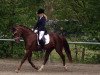 broodmare Leandra 219 (Sachs-door. Heavy Warmbl., 2013, from Elbling)