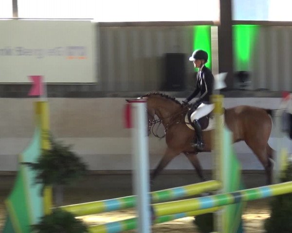 Reitturnier Lindlar-Süttenbach 2019