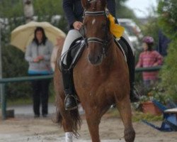 dressage horse Leon de la Casa (Westphalian, 1998, from Landro L)