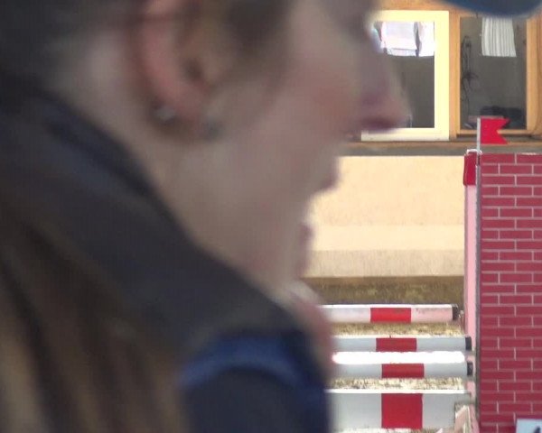 Reitturnier Lindlar-Süttenbach 2019