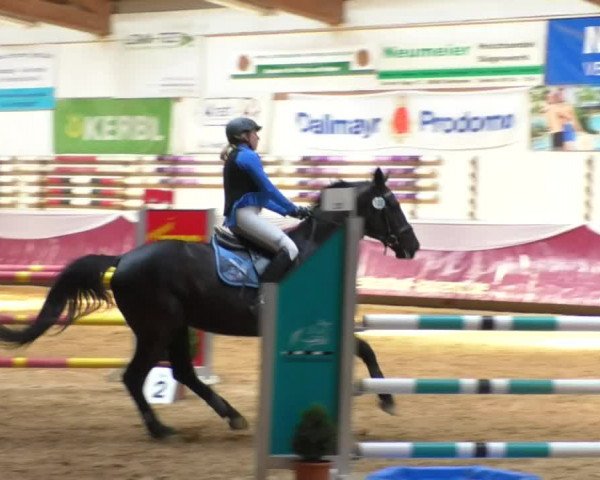 Reitturnier Eicherloh RH Laurent/Obb. 2019