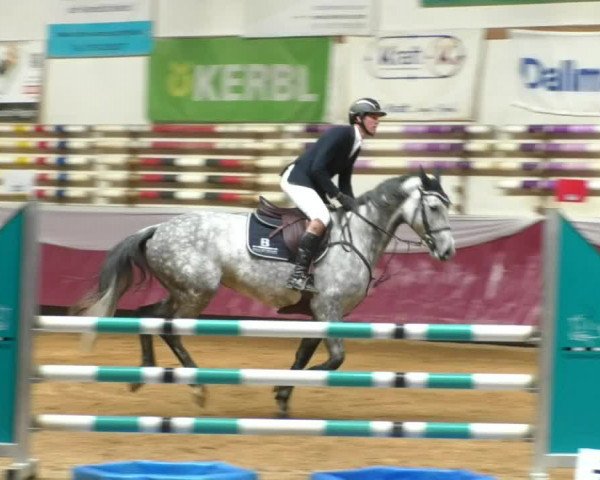 Reitturnier Eicherloh RH Laurent/Obb. 2019