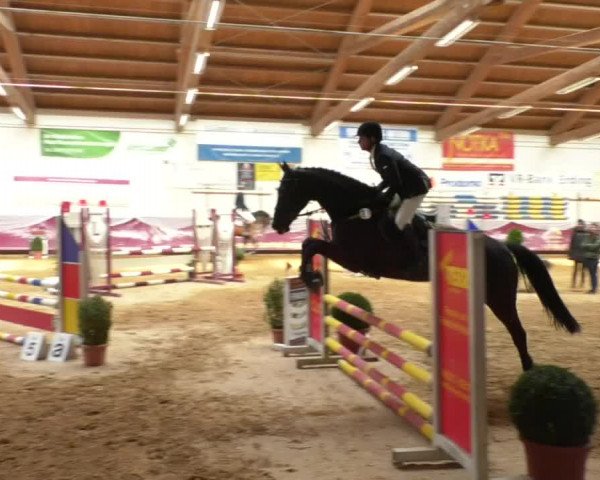 Reitturnier Eicherloh RH Laurent/Obb. 2019