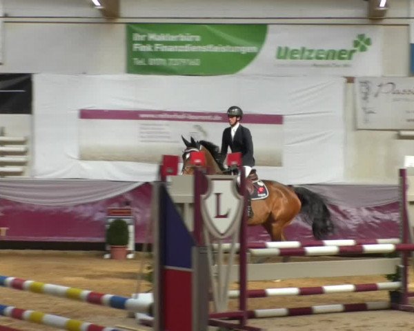 Reitturnier Eicherloh RH Laurent/Obb. 2019