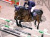 jumper Time Out (KWPN (Royal Dutch Sporthorse), 2000, from Kalypso)