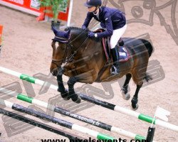 jumper Time Out (KWPN (Royal Dutch Sporthorse), 2000, from Kalypso)