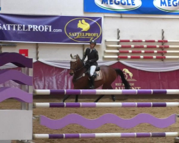 Reitturnier Eicherloh RH Laurent/Obb. 2019
