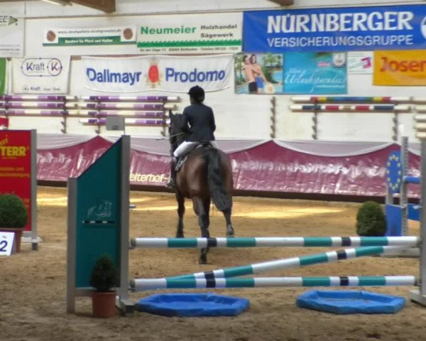 Reitturnier Eicherloh RH Laurent/Obb. 2019