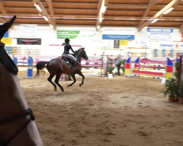 Reitturnier Eicherloh RH Laurent/Obb. 2019