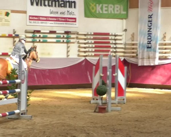 Reitturnier Eicherloh RH Laurent/Obb. 2019