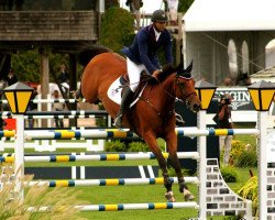 Springpferd Reglisse Top (Selle Français, 2005, von Looping D'Elle)