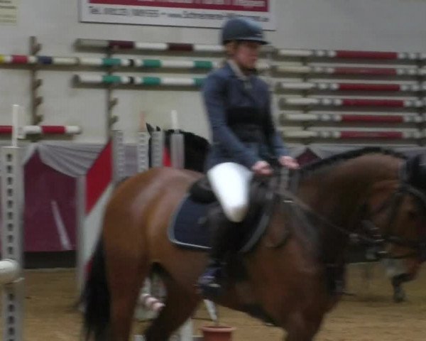 Reitturnier Eicherloh RH Laurent/Obb. 2019