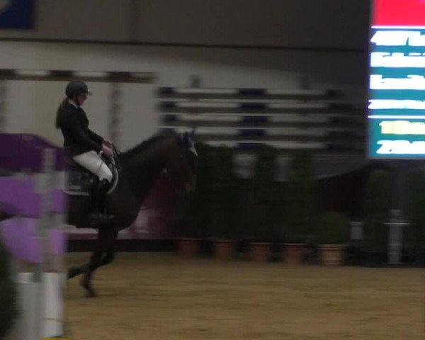 Reitturnier Eicherloh RH Laurent/Obb. 2019