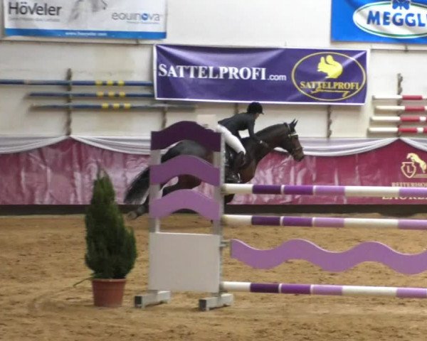 Reitturnier Eicherloh RH Laurent/Obb. 2019