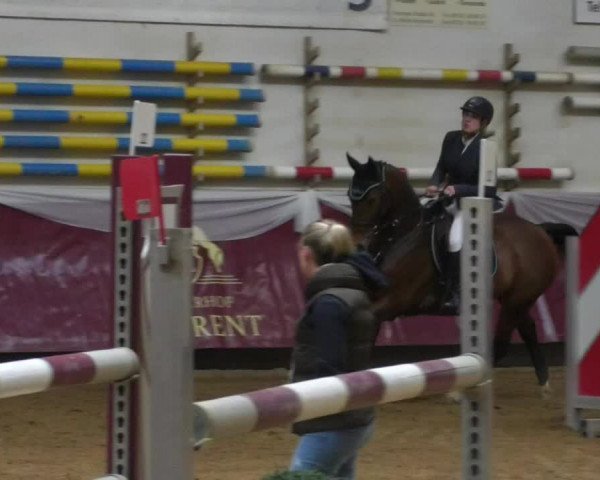 Reitturnier Eicherloh RH Laurent/Obb. 2019
