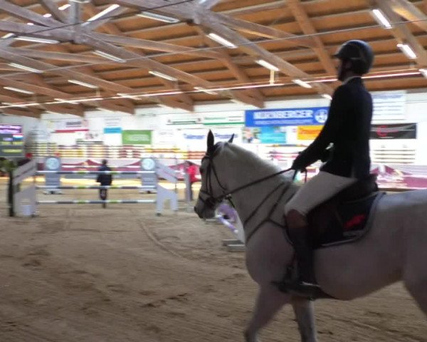 Reitturnier Eicherloh RH Laurent/Obb. 2019