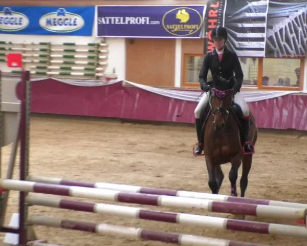 Reitturnier Eicherloh RH Laurent/Obb. 2019
