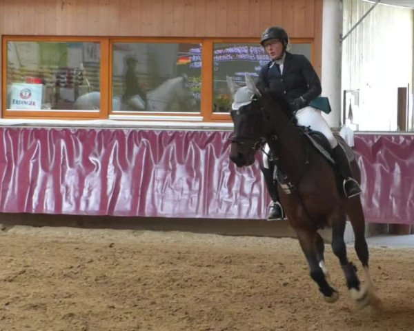 Reitturnier Eicherloh RH Laurent/Obb. 2019