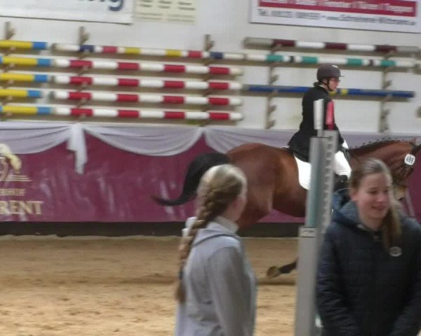 Reitturnier Eicherloh RH Laurent/Obb. 2019
