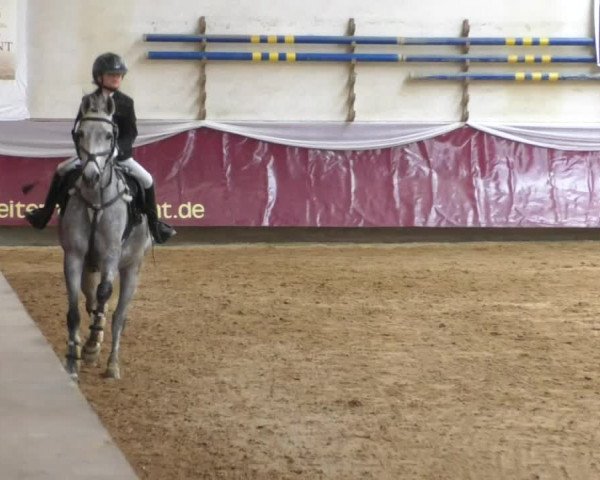Reitturnier Eicherloh RH Laurent/Obb. 2019