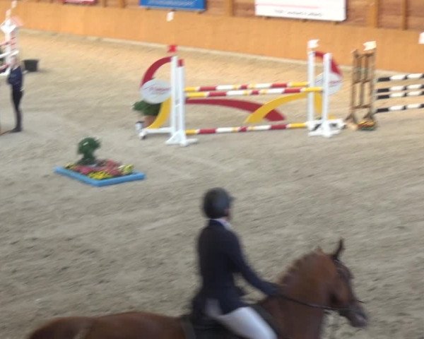 Reitturnier Xanten 2019