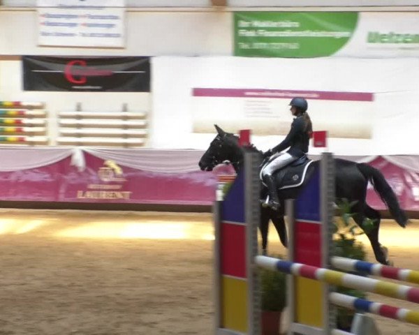 Reitturnier Eicherloh RH Laurent/Obb. 2019