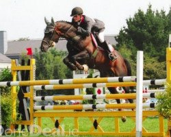 stallion Loughahoe Guy xx (Thoroughbred, 1992, from Regular Guy xx)