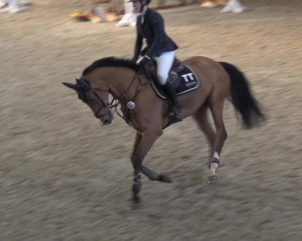 Reitturnier Xanten 2019