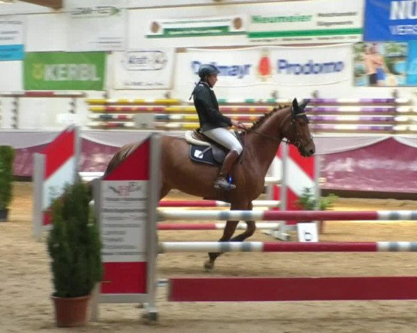 Reitturnier Eicherloh RH Laurent/Obb. 2019