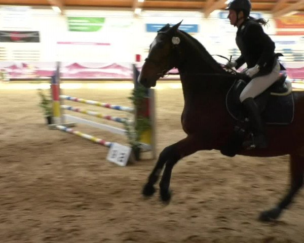 Reitturnier Eicherloh RH Laurent/Obb. 2019