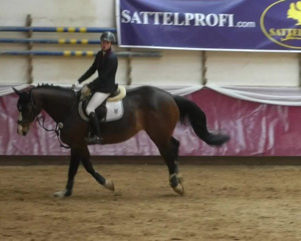 Reitturnier Eicherloh RH Laurent/Obb. 2019