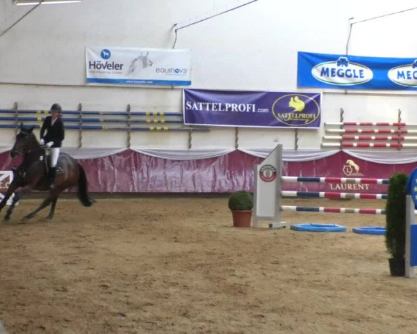 Reitturnier Eicherloh RH Laurent/Obb. 2019