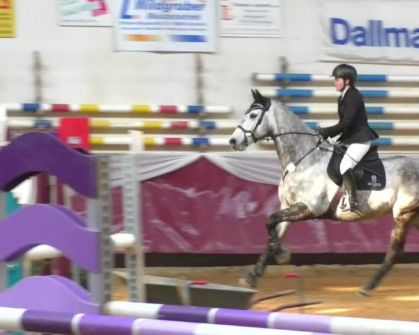 Reitturnier Eicherloh RH Laurent/Obb. 2019
