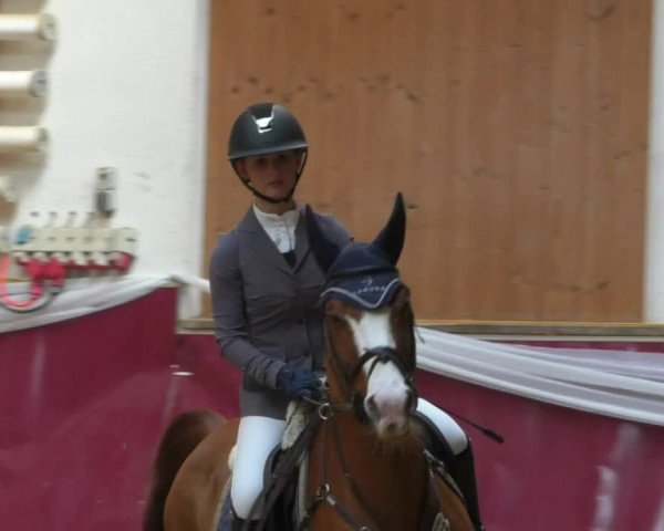 Reitturnier Eicherloh RH Laurent/Obb. 2019