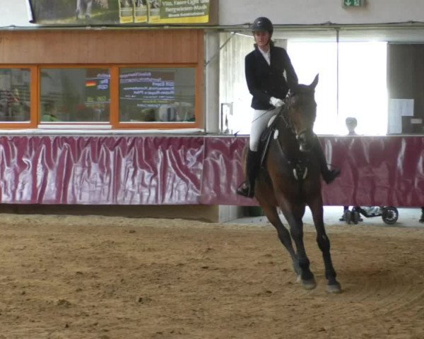 Reitturnier Eicherloh RH Laurent/Obb. 2019