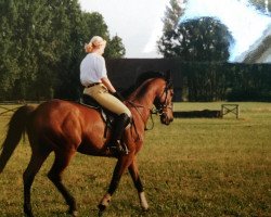 horse Kiptopeke xx (Thoroughbred, 1988, from Aspros xx)