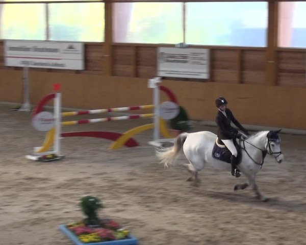 Reitturnier Xanten 2019