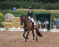 dressage horse Samiro (Westfale, 2007, from Sandro Bedo)