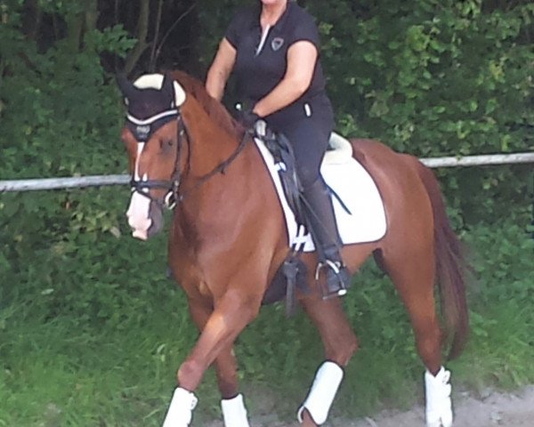 dressage horse Fabienne IFD (unknown, 2008)