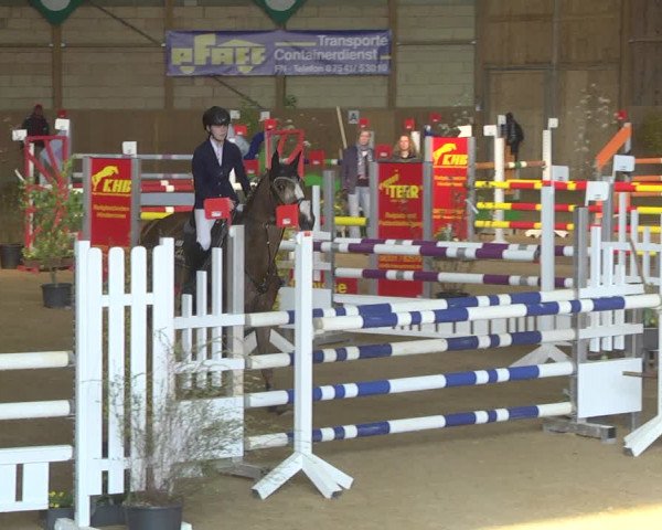 Reitturnier Friedrichshafen - Ailingen 2019