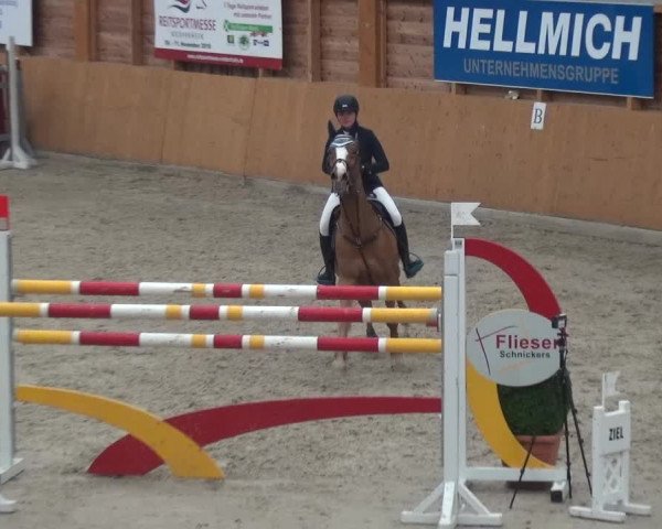 Reitturnier Xanten 2019